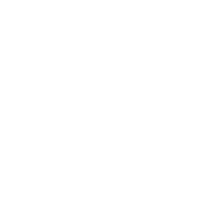 Dog and Cat icon